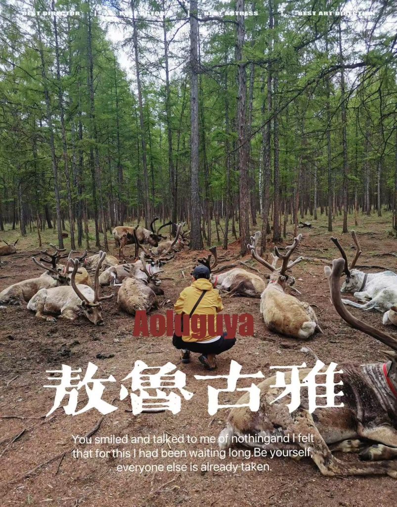 内蒙亲子游攻略2025:5天最佳路线/人均费用/住宿选择/避暑胜地插图4 内蒙亲子游攻略2025:5天最佳路线/人均费用/住宿选择/避暑胜地插图4